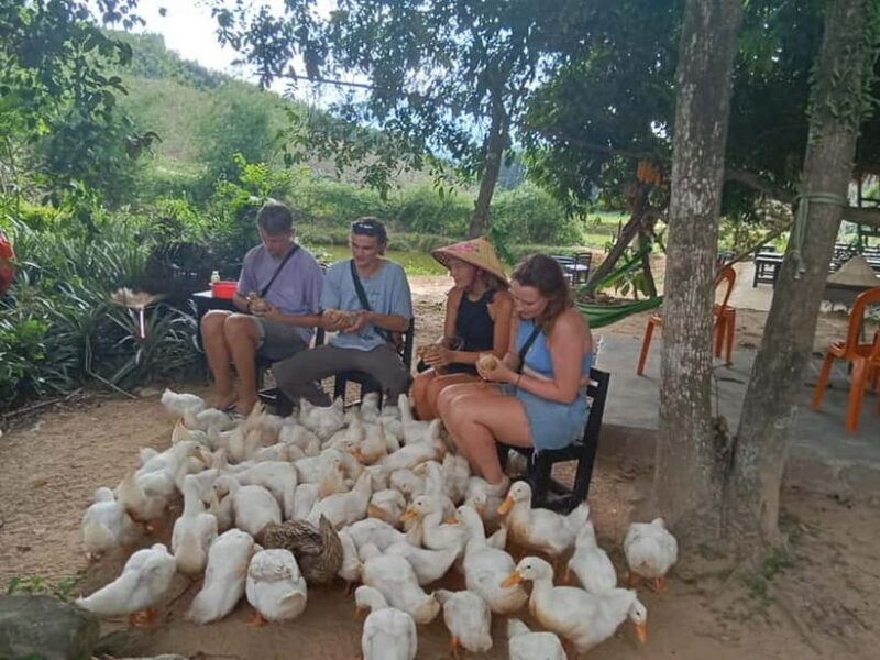 Cycling Through Countryside and Cooking Class in Duck Stop - An In-Depth Look at the Tour Experience