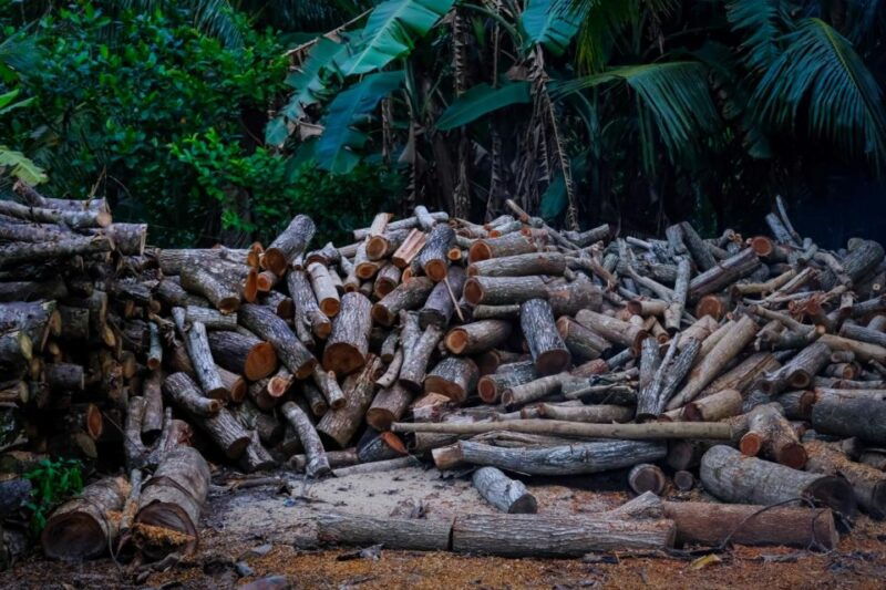 cycling-through-phu-quoc-rural-village
