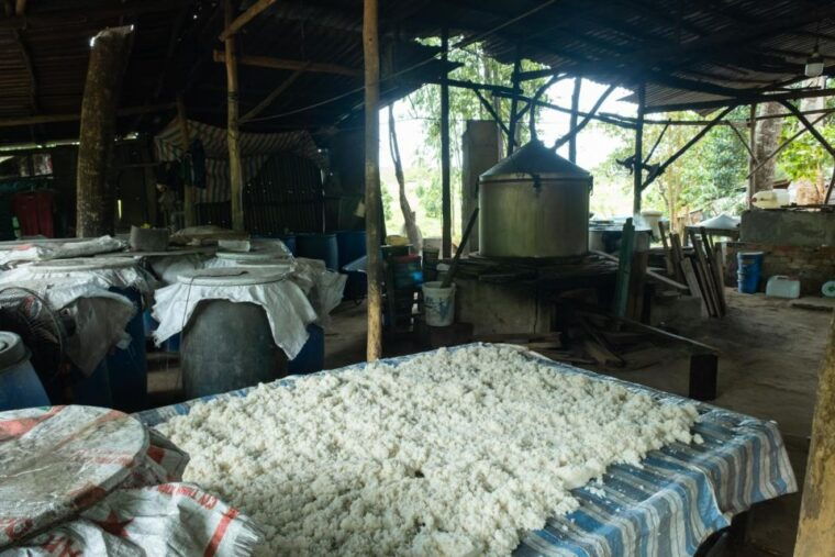 cycling-through-phu-quoc-rural-village