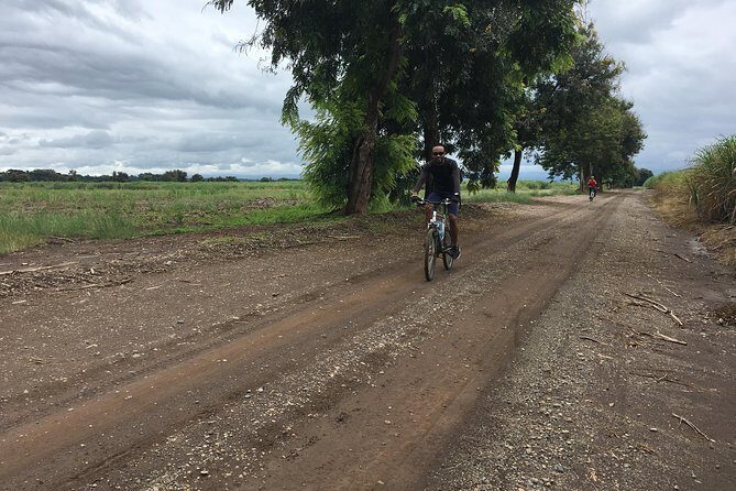 Cycling through the TPC plantations - The Ride: From Town to the Plantations