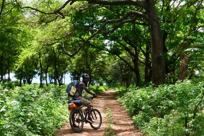 Cycling through the TPC plantations - Practical Tips for Participants