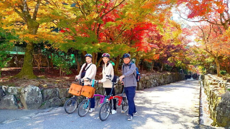 Cycling Tour at Uji's Matcha Green Tea Fields and Heritage - What You Can Expect on the Tour