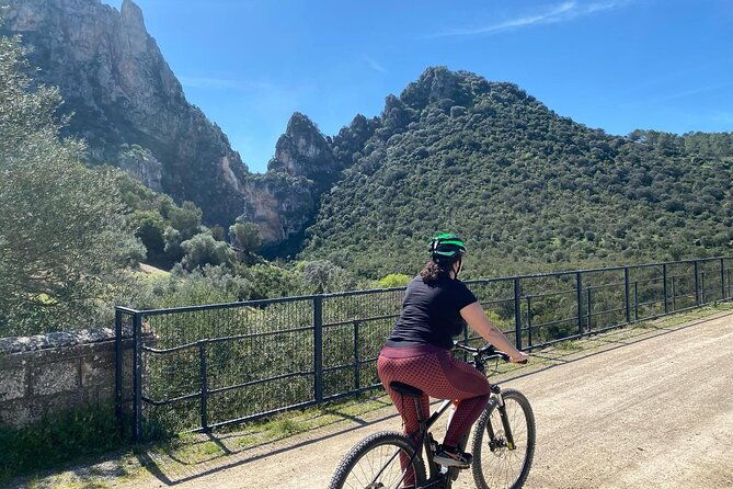 cycling-via-verde-de-la-sierra-easy-difficulty-ronda-2