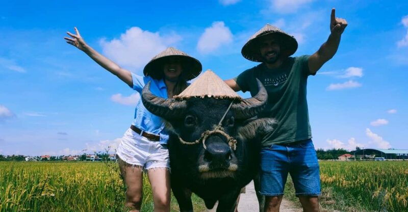 cycling-water-buffalo-riding-traditional-farming-life