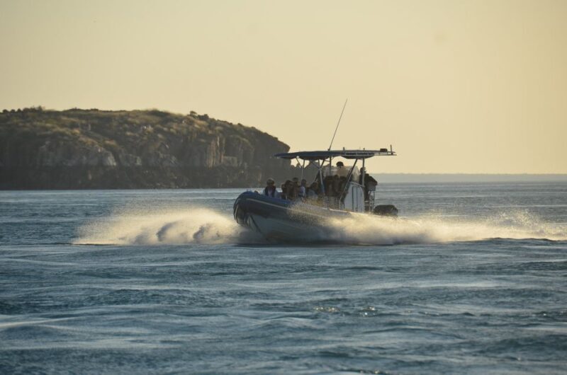 Cygnet Bay Island Explorer Scenic Cruise Experience - Key Points