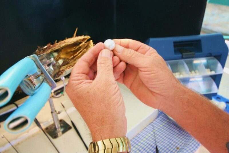 Cygnet Bay Pearl Farm Behind-the-Scenes Tour & Live Harvest - An Authentic Look into Australia’s Pearl Industry