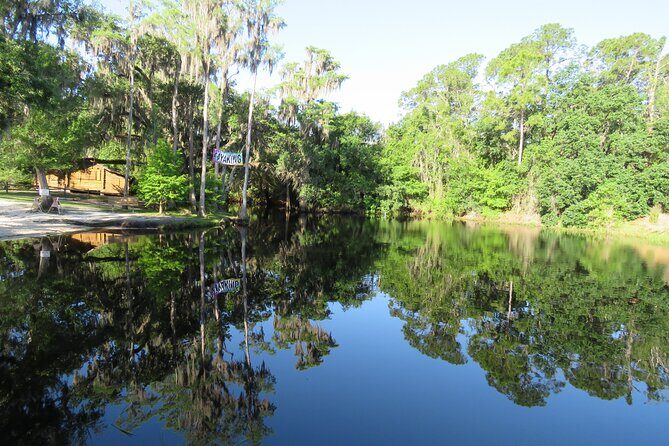 Cypress Forest: Guided Nature Kayak Eco-Tour - Key Points