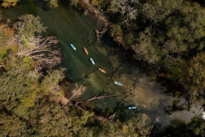 cypress-springs-eco-adventure-2