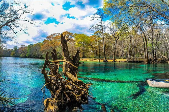 cypress-springs-eco-adventure