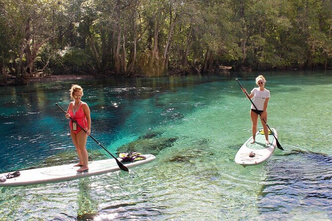 cypress-springs-eco-adventure