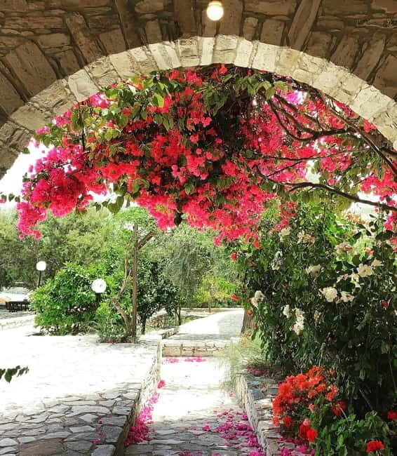Cypriot Traditions and Donkey Adventures - Practical Insights & What You Need to Know