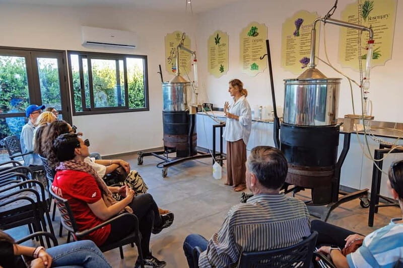 Cyprus: Herb Gardens and Maze in Cyherbia Botanical Park - Authentic Insights from Visitors
