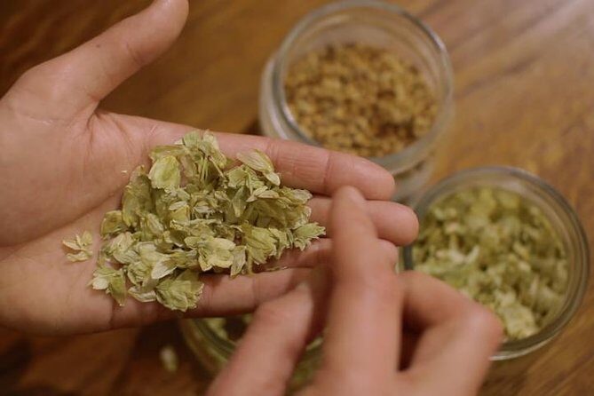 Czech Beer Tasting Experience - The Itinerary in Detail