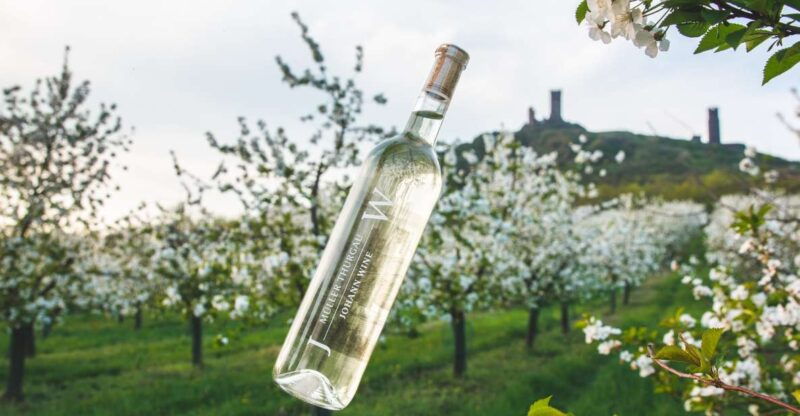 czech-vineyards-and-wine-tasting-4wd-tour-with-lunch