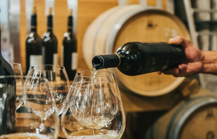 czech-vineyards-and-wine-tasting-4wd-tour-with-lunch