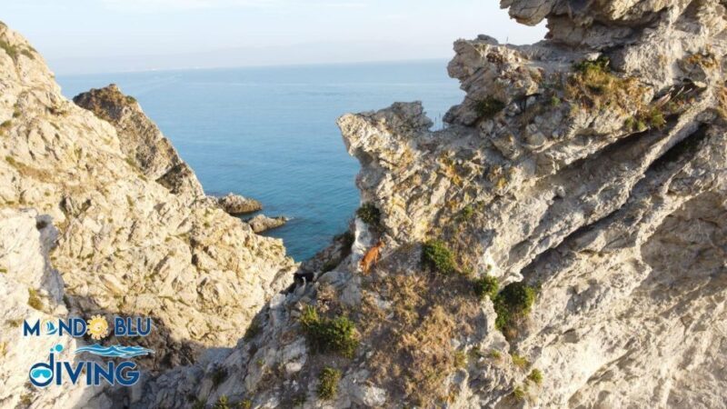 Da Capo Vaticano a Tropea - Tour Snorkeling con aperitivo - What to Keep in Mind