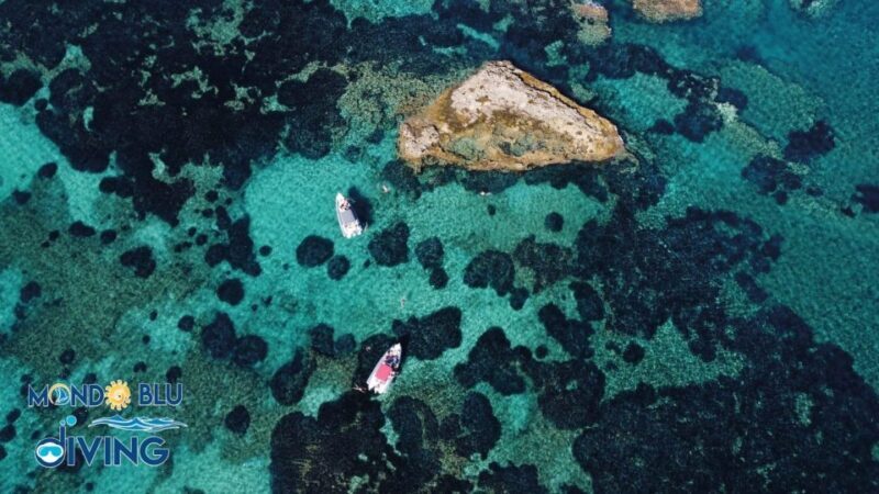 Da Capo Vaticano a Tropea - Tour Snorkeling con aperitivo - The Sum Up: Is It Worth It?