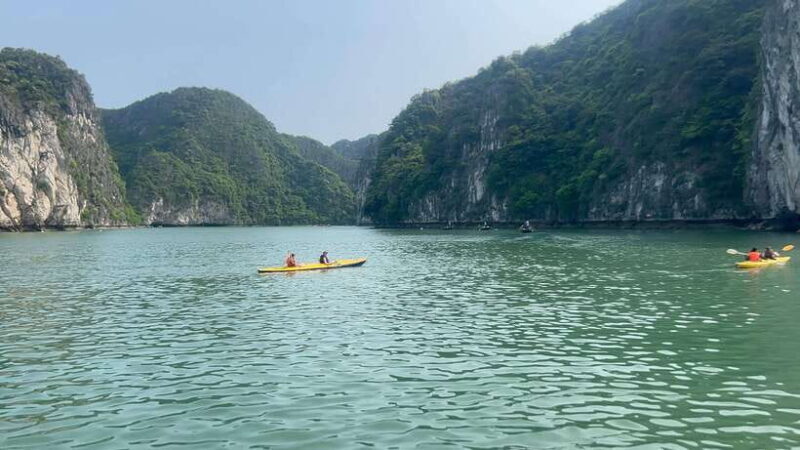 Da Lat Bidoup Nui Ba Jungle Trekking Tour With BBQ Camping - Practical Considerations and Value