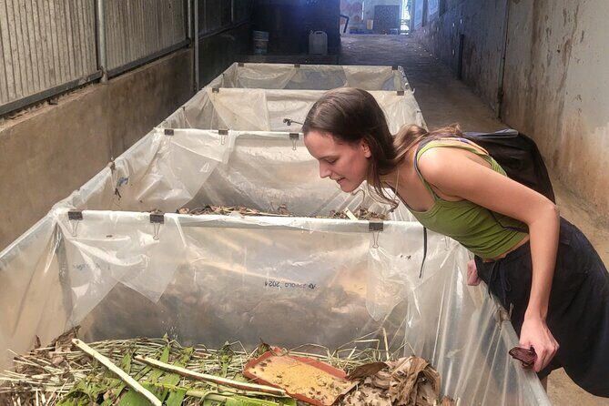 Da Lat City Sightseeing 2 Days Private Tour From Ho Chi Minh City - FAQ