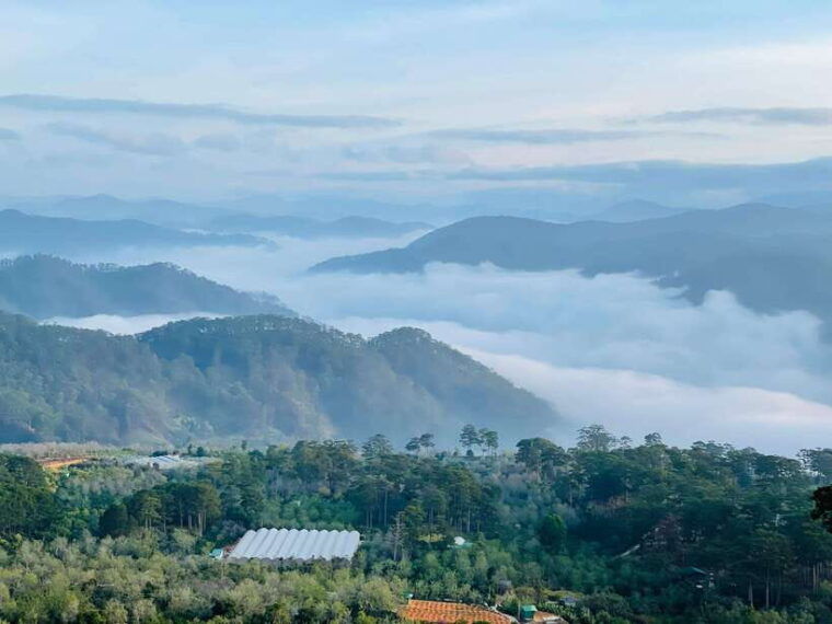 da-lat-cloud-hunting-experience-da-lat-special-products