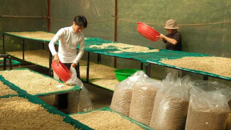 Da Lat: Coffee Roasting Workshop - Roast & Brew Your Own - Who Is This Tour Best For?
