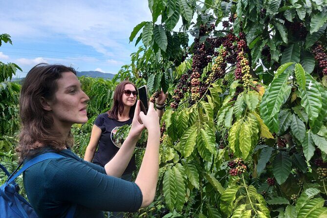 Da lat Countryside: Nature & Culture Tour by Car - Who Should Consider This Tour?