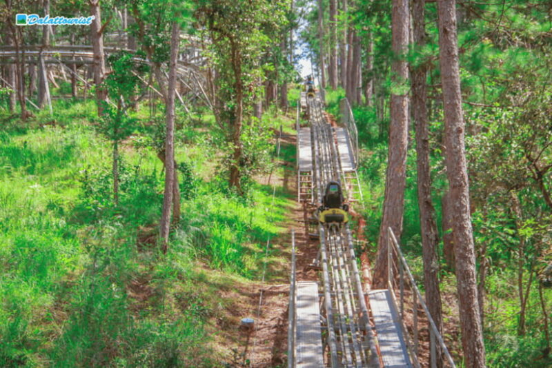 Da Lat: Datanla New Alpine Coaster Experience Entry Ticket - An In-Depth Look at the Datanla Alpine Coaster Experience