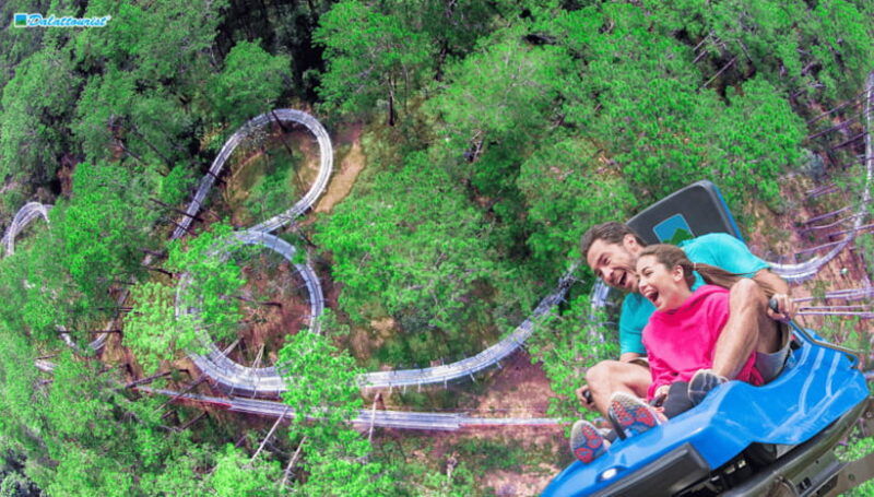 da-lat-datanla-new-alpine-coaster-experience-entry-ticket