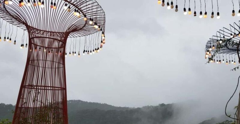 Da Lat: Explore Countryside trip with Motorbike Rider - A Closer Look at the Dalat Countryside Motorcycle Tour