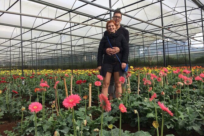 Da Lat : Explore Elephant Falls,Silk Village and Countryside - An In-depth Look at the Itinerary