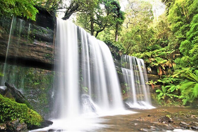 Da Lat : Explore Elephant Falls,Silk Village and Countryside - FAQs
