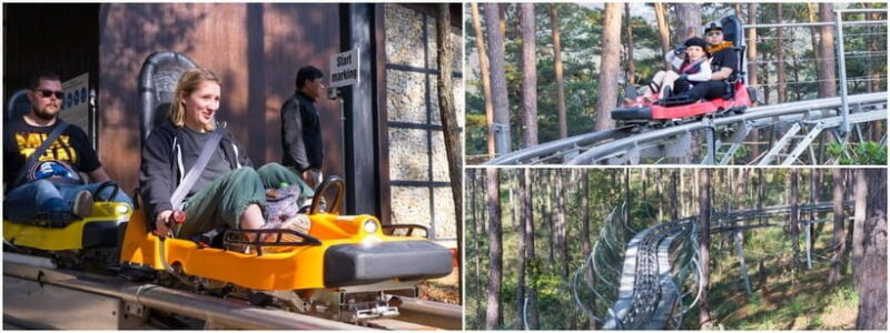 Da Lat: Extreme Zipline 1500m & Canyoning - Key Points