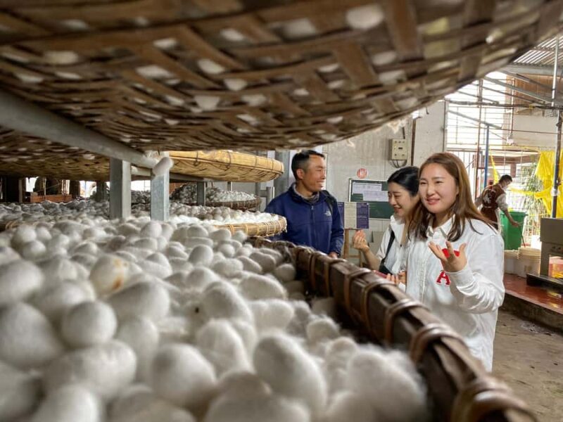 Da Lat: Samten Hill, Waterfalls, and Coffee Tour - Who Would Love This Tour?