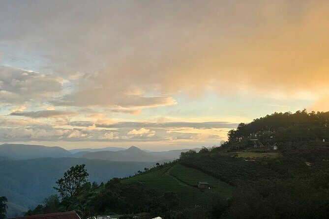 Da Lat Sunrise and Cloud Hunting Trek  Early Morning Hiking Tour - Who Will Love This Experience?