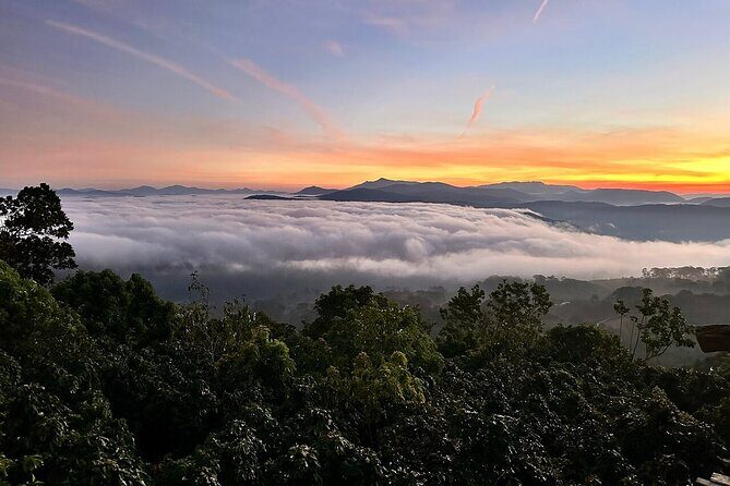 Da Lat Sunrise and Cloud Hunting Trek  Early Morning Hiking Tour - FAQ