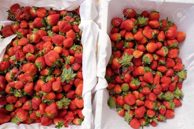 Da Lat: Sunrise Photography & Scenic Morning Tour - FAQs