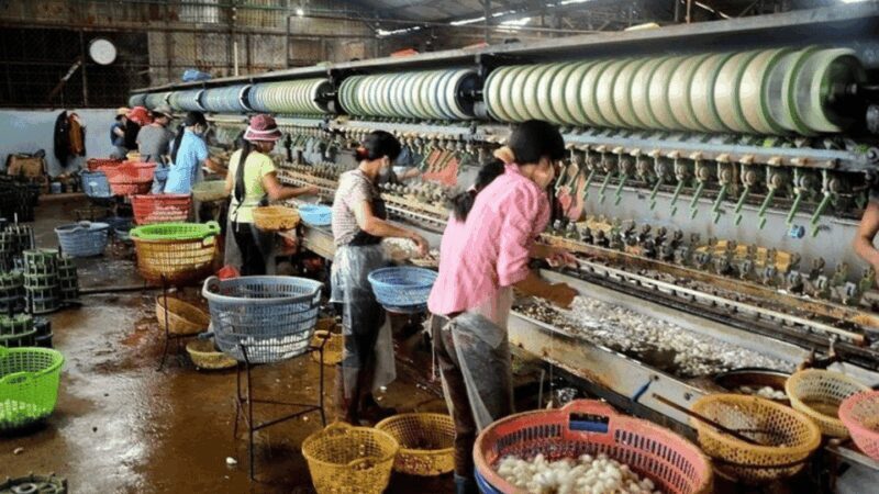 Da Lat's Most Beautiful Nature Discovery Tour (Private Car) - Key Points