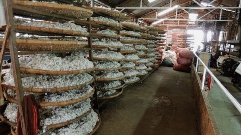 Da Lat's Most Beautiful Nature Discovery Tour (Private Car) - Silk Factory: A Touch of Vietnamese Industry