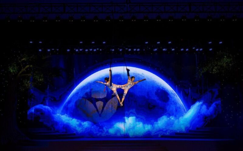 Da Nang: Charming Da Nang Show Ticket - Who Will Enjoy This Show?