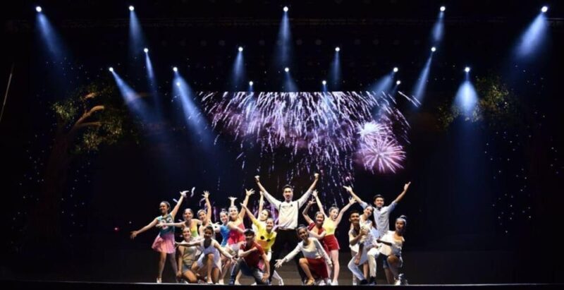 Da Nang: Charming Da Nang Show Ticket - Authentic Insights from Reviewers