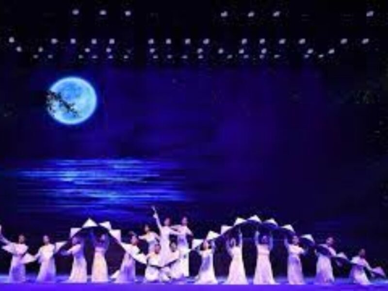 Da Nang Charming Show Viet Nam - What Is the Da Nang Charming Show?