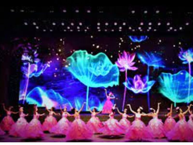 Da Nang Charming Show Viet Nam - What to Expect During Your Visit
