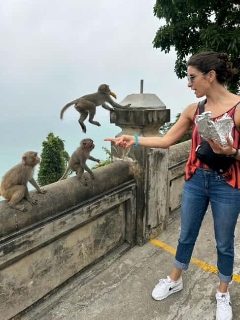 Da Nang City Side - My Son Sanctuary Small Group Tour - FAQs