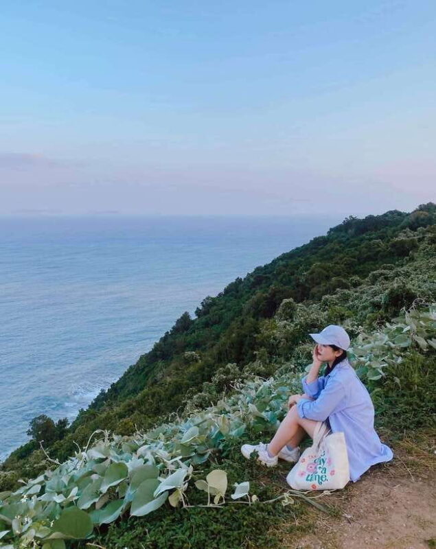 Da Nang City Sightseeing All Highlights Full Day Tour - Who Will Love This Tour?