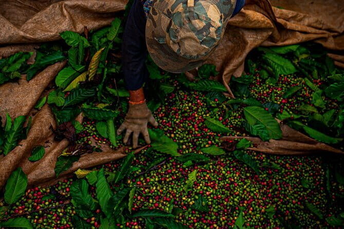 Da nang Coffee Making Class. JDC - Final Thoughts