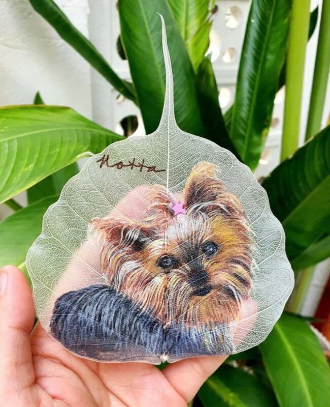 Da Nang Craft & Creative Hub: Choose Your Favorite Workshop - What to Expect at the Da Nang Craft & Creative Hub