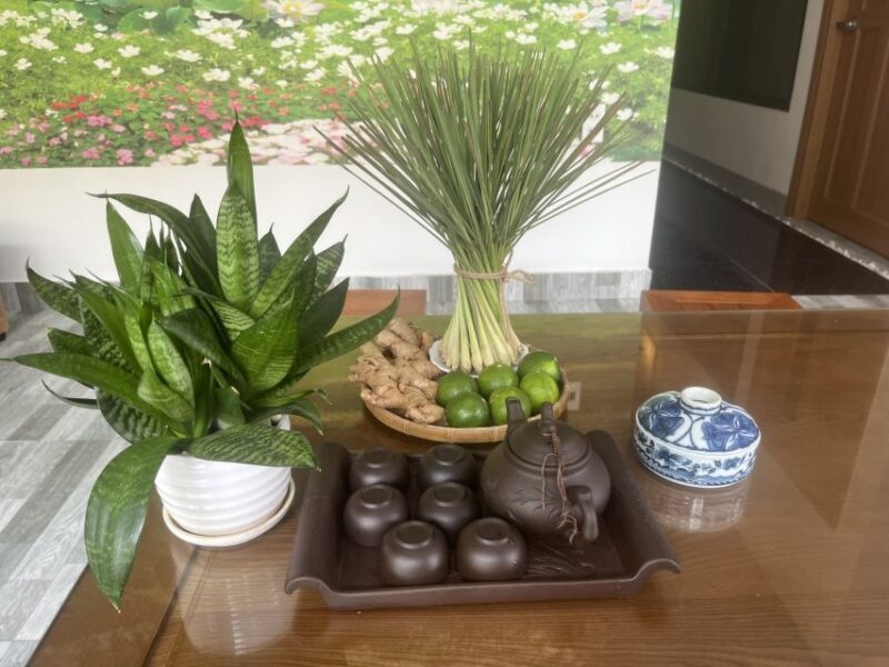 Da Nang: Experience 60 minutes Thai Traditional Massage - Key Points