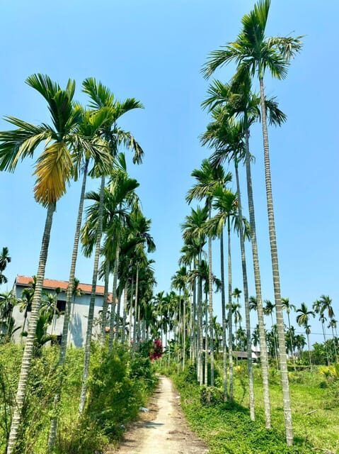 Da Nang: Experiencing the local lifestyle in Hoi An fullday - FAQ