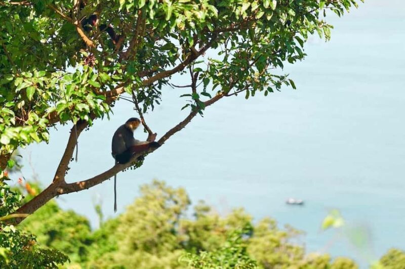 Da Nang: Golden Bridge, Lady Buddha,Marble Mt & Am Phu Cave - Exploring Da Nang: Golden Bridge, Lady Buddha, Marble Mountain & Am Phu Cave