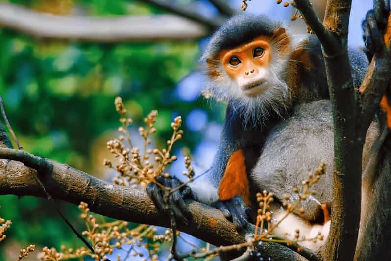 Da Nang Half day City Tour: Linh Ung, Marble & Am Phu Cave - Who Will Love This Tour?